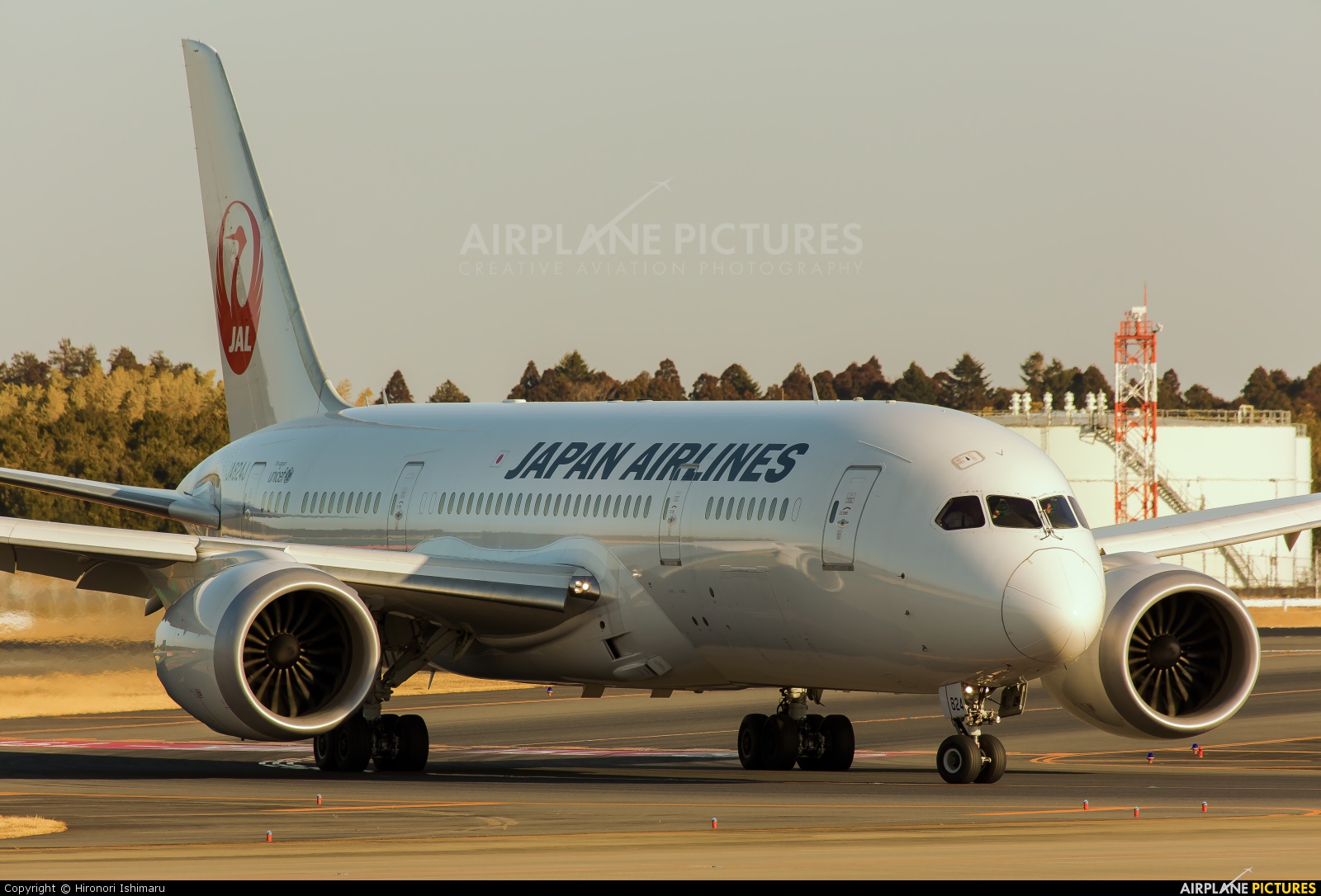 JAL - Japan Airlines JA824J aircraft at Tokyo - Narita Intl