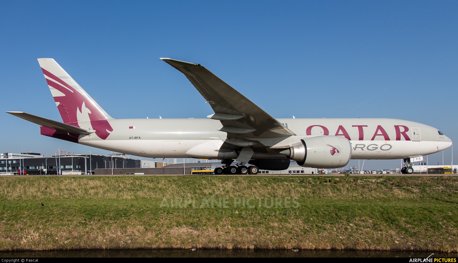 Qatar Airways Cargo A7-BFA aircraft at Amsterdam - Schiphol