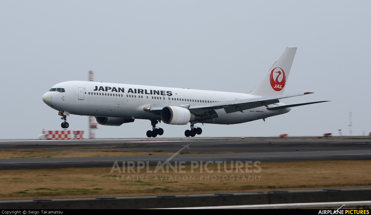 JAL - Japan Airlines JA8397 aircraft at Oita