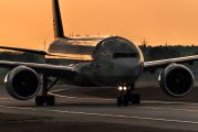Lufthansa Cargo D-ALFA image