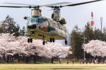 37-4501 - Japan - Air Self Defence Force Kawasaki CH-47J Chinook