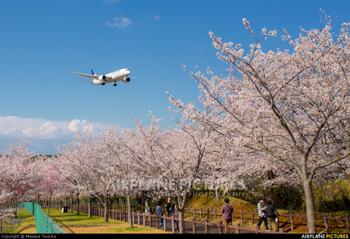 United Airlines N45905 aircraft at Tokyo - Narita Intl
