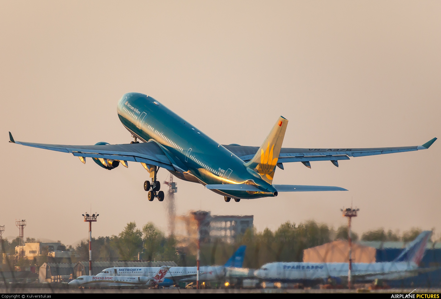 Vietnam Airlines VN-A375 aircraft at Moscow - Domodedovo