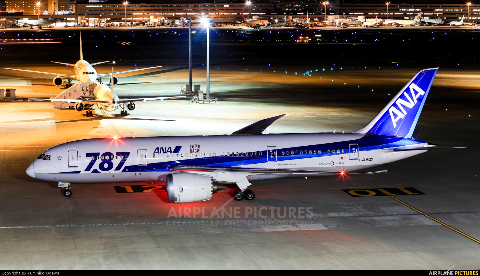 ANA - All Nippon Airways JA813A aircraft at Tokyo - Haneda Intl