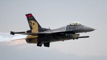 91-0011 - Turkey - Air Force General Dynamics F-16C Fighting Falcon aircraft