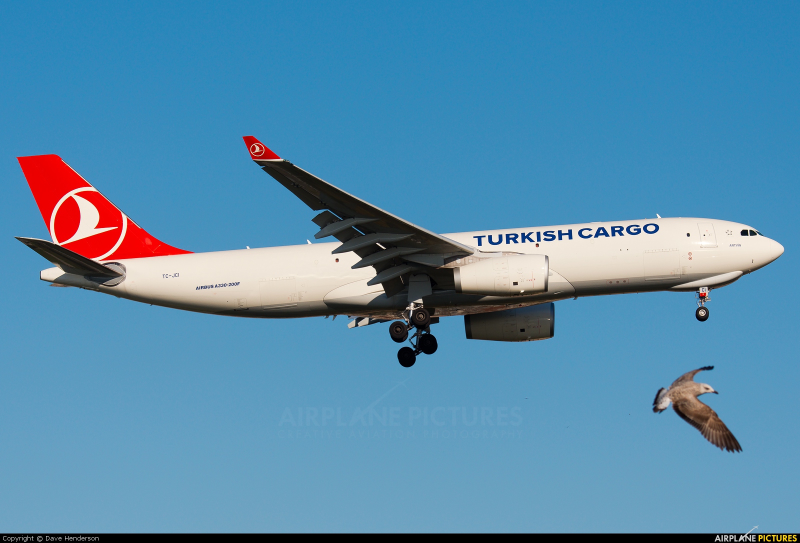 Turkish Cargo TC-JCI aircraft at Istanbul - Ataturk