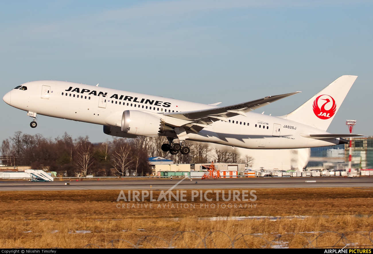 JAL - Japan Airlines JA826J aircraft at Moscow - Domodedovo