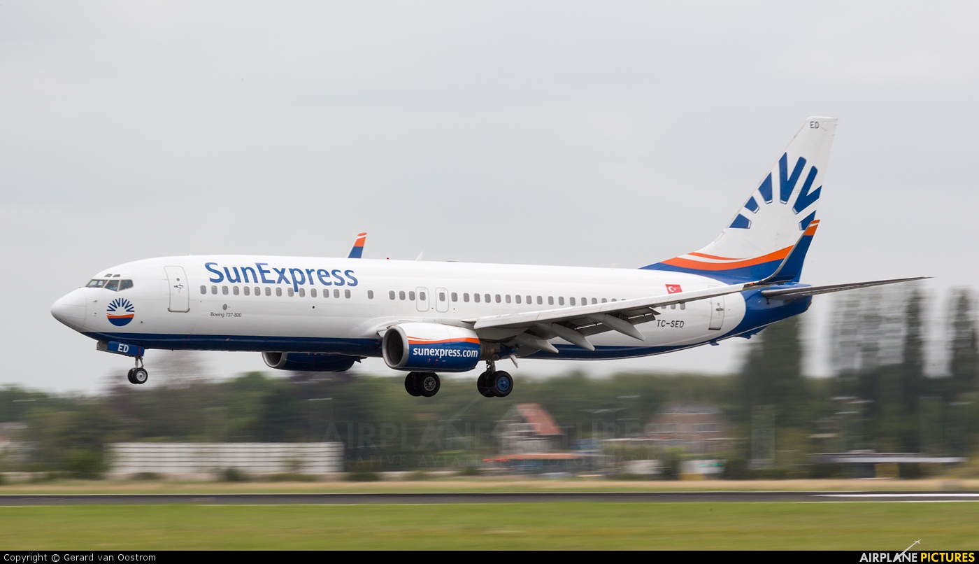 SunExpress TC-SED aircraft at Amsterdam - Schiphol