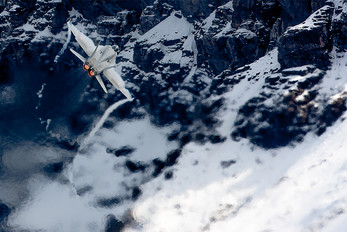 - - Switzerland - Air Force McDonnell Douglas F/A-18C Hornet
