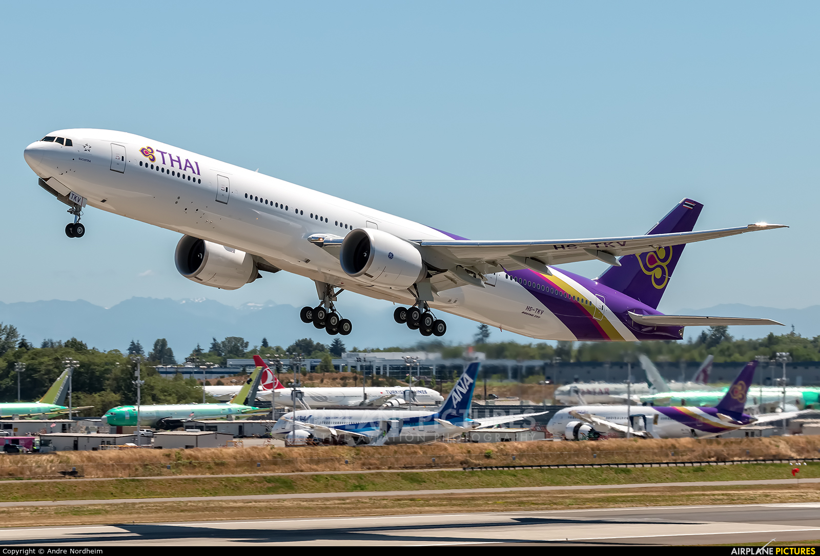 Thai Airways HS-TKV aircraft at Everett - Snohomish County / Paine Field