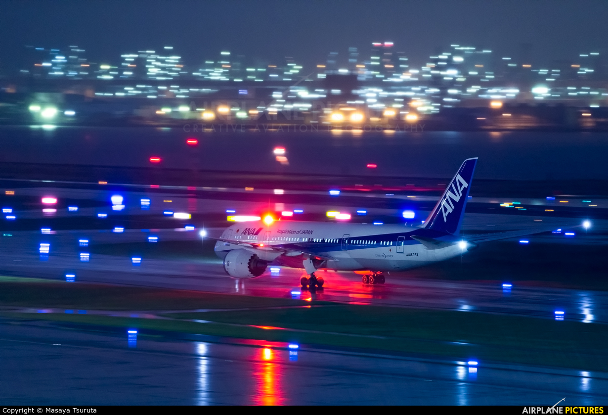 ANA - All Nippon Airways JA825A aircraft at Tokyo - Haneda Intl