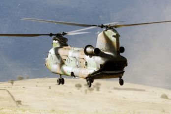 HT.17-12 - Spain - Army Boeing CH-47D Chinook