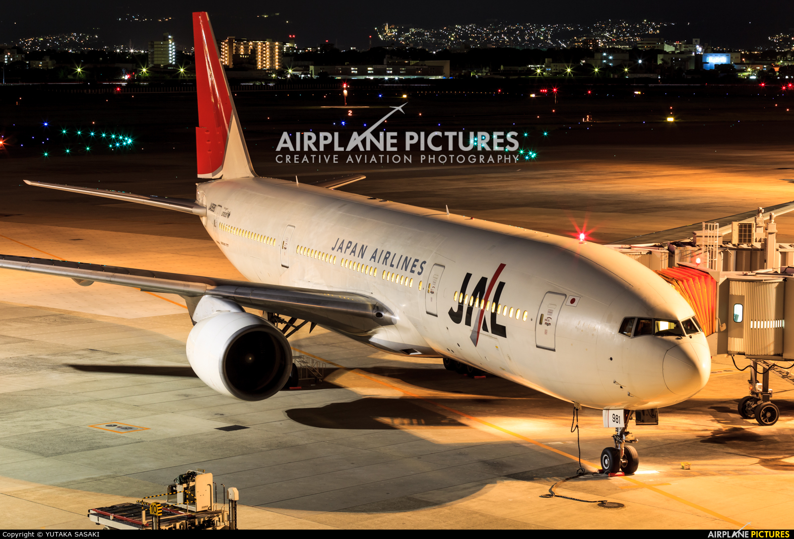 JAL - Japan Airlines JA8981 aircraft at Osaka - Itami Intl
