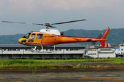 Toho Air Service JA9878 image