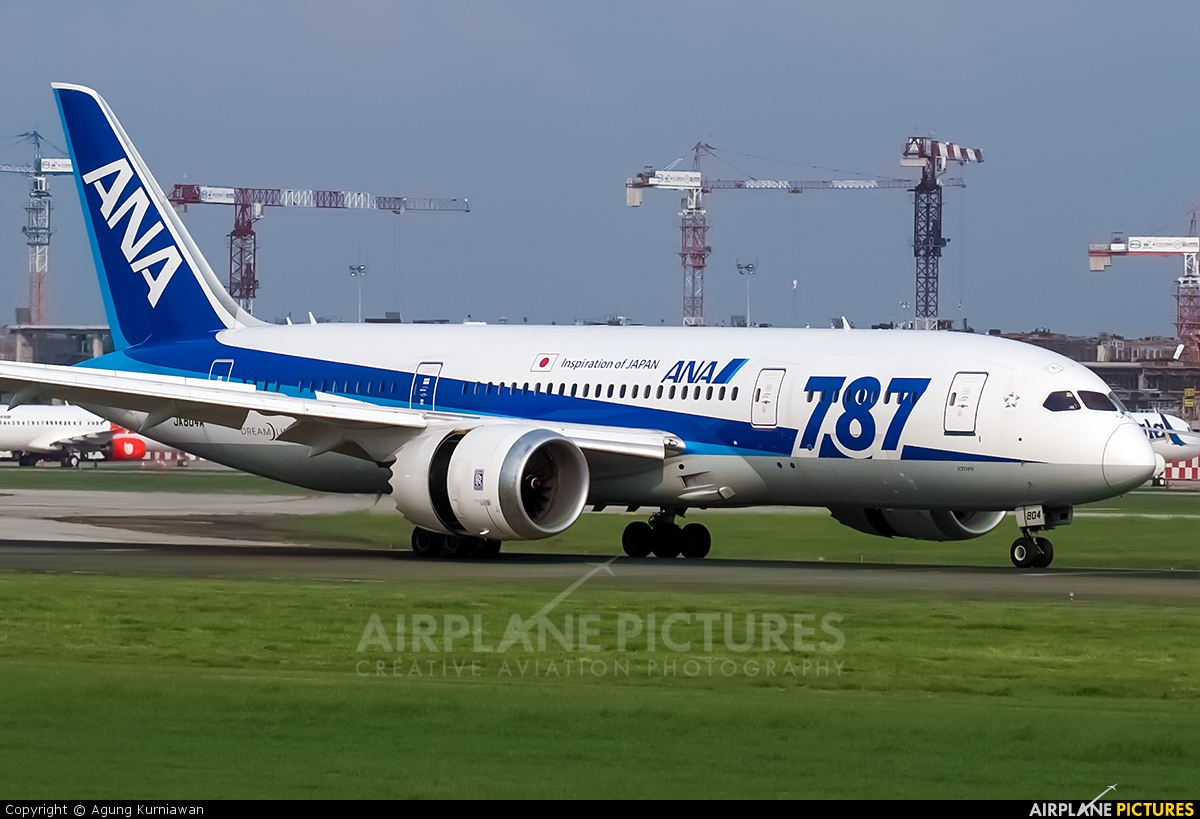 JA804A - ANA - All Nippon Airways Boeing 787-8 Dreamliner at Jakarta -  Soekarno-Hatta Intl | Photo ID 425925 | Airplane-Pictures.net