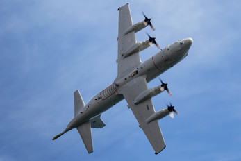 14811 - Portugal - Air Force Lockheed P-3C Orion