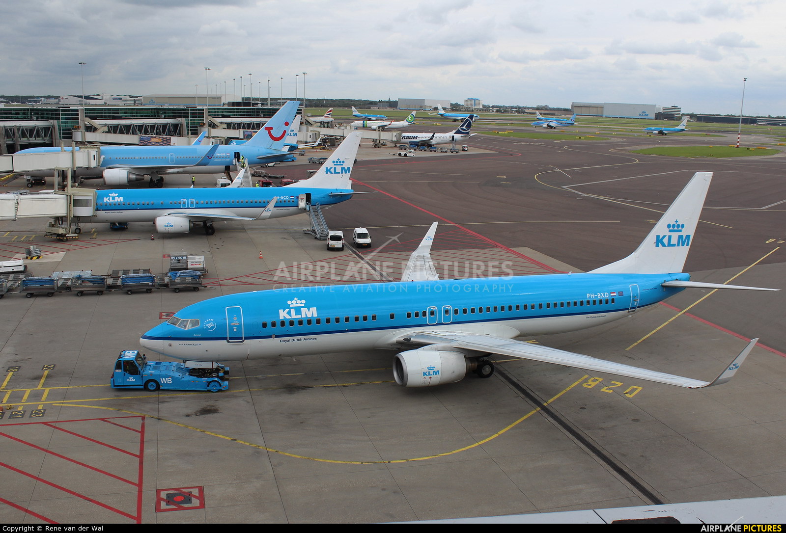 KLM PH-BXD aircraft at Amsterdam - Schiphol