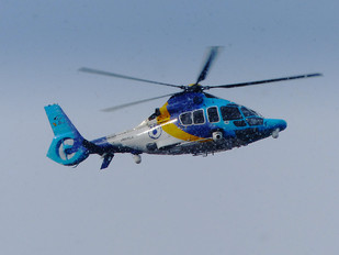 JA08CX - Toho Air Service Eurocopter EC155 Dauphin (all models)