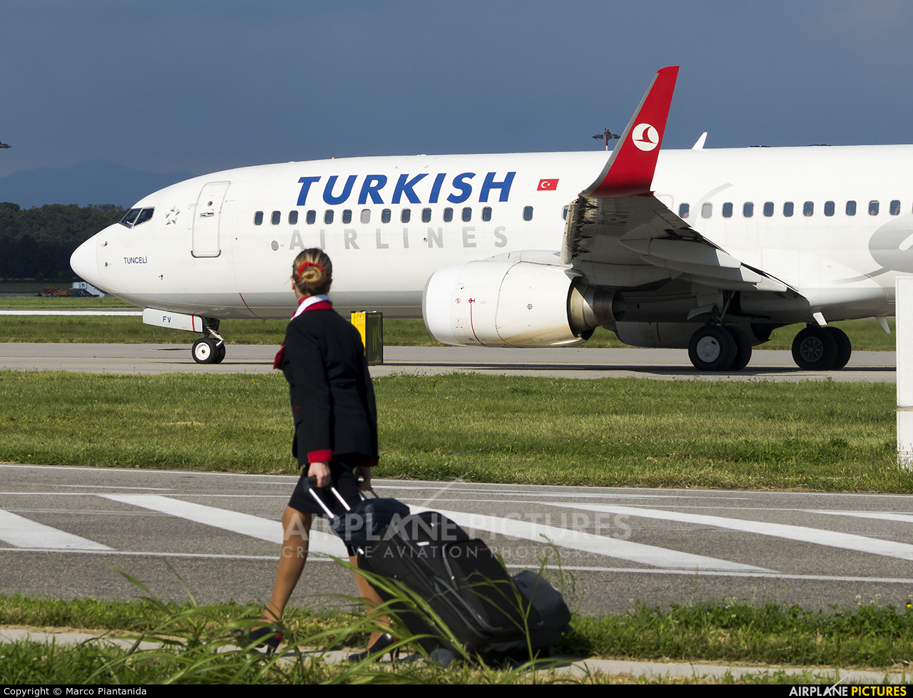Turkish Airlines TC-JFV aircraft at Milan - Malpensa