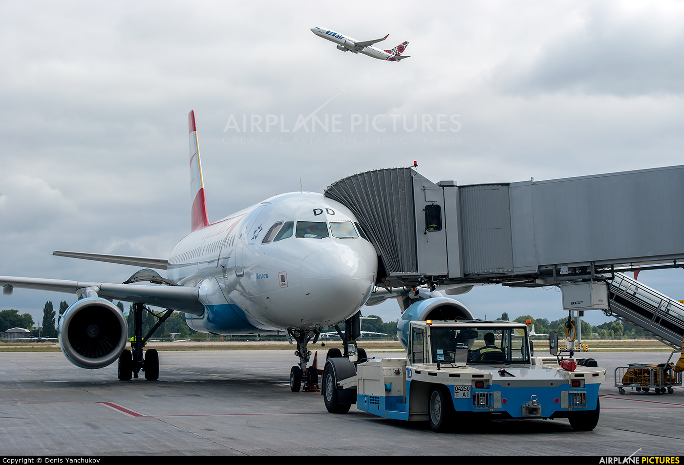 Austrian Airlines/Arrows/Tyrolean OE-LDD aircraft at Kyiv - Borispol