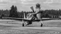 N51ZM - Private North American P-51D Mustang aircraft