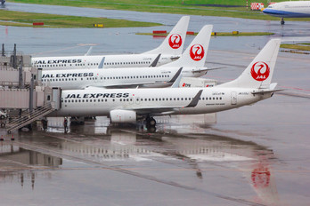 JA333J - JAL - Express Boeing 737-800