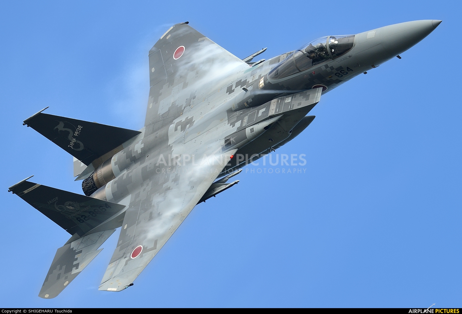 Japan - Air Self Defence Force 62-8864 aircraft at Komatsu