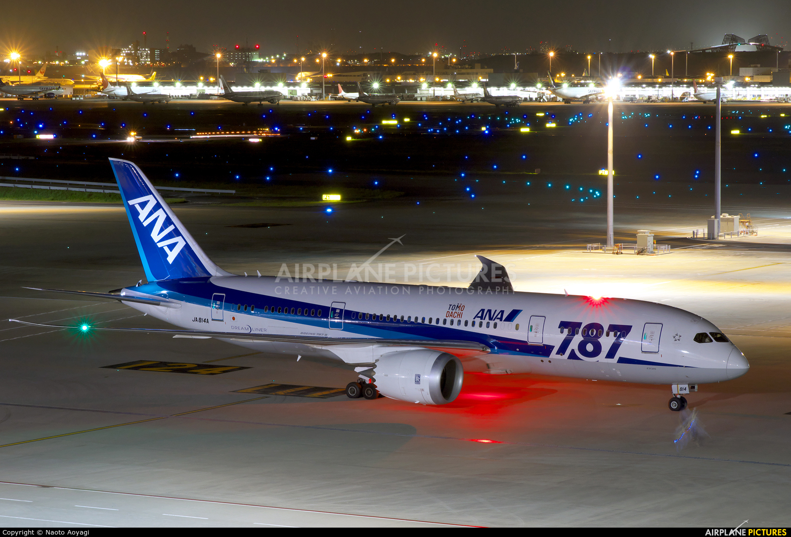 ANA - All Nippon Airways JA814A aircraft at Tokyo - Haneda Intl