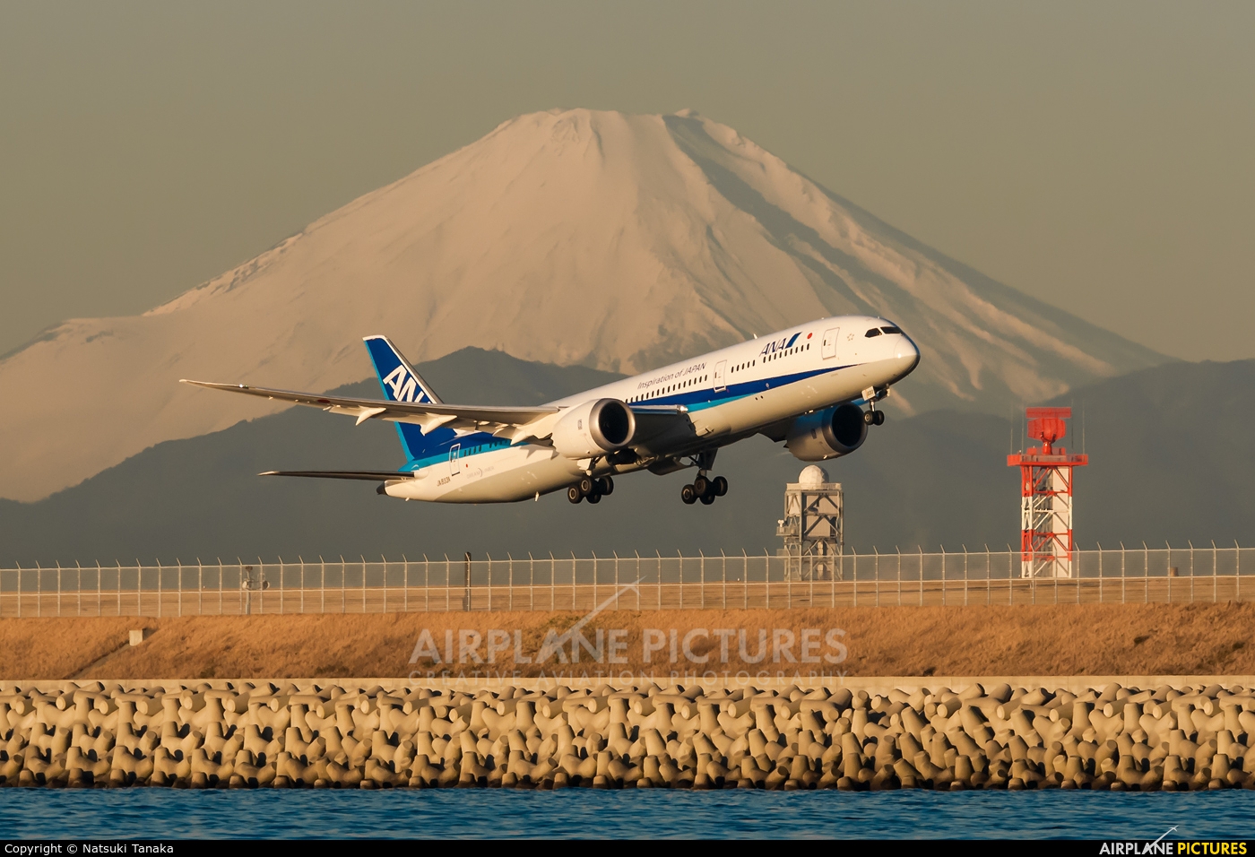 ANA - All Nippon Airways JA833A aircraft at Tokyo - Haneda Intl