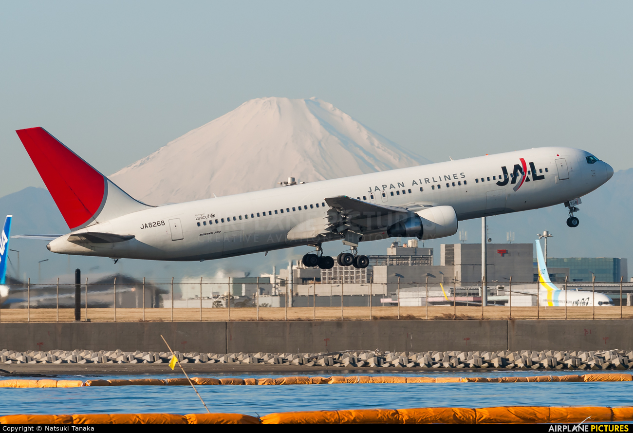 JAL - Japan Airlines JA8268 aircraft at Tokyo - Haneda Intl