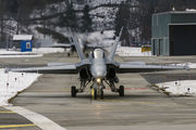 Swiss F/A-18 Hornets to patrol over Davos title=