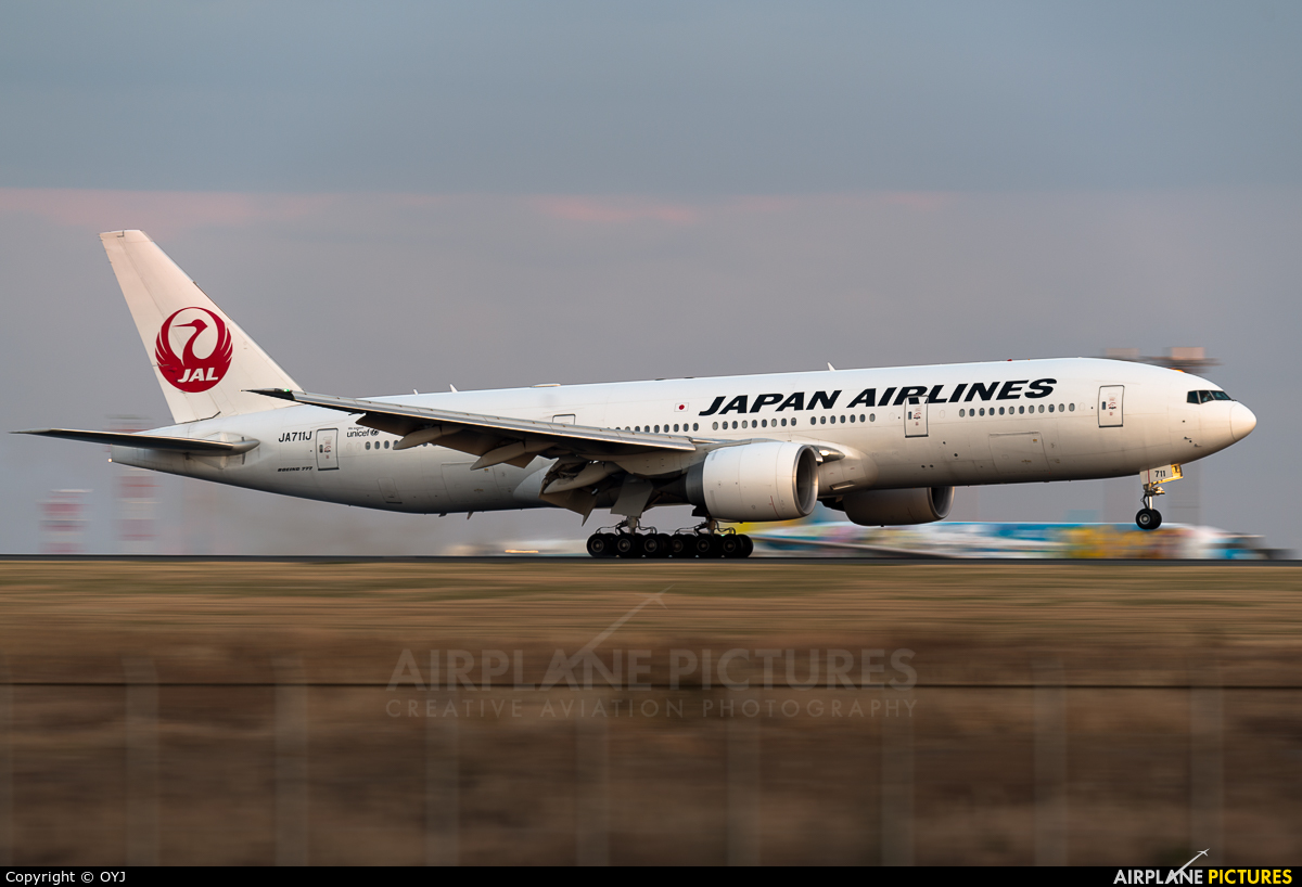 JAL - Japan Airlines JA711J aircraft at Tokyo - Haneda Intl