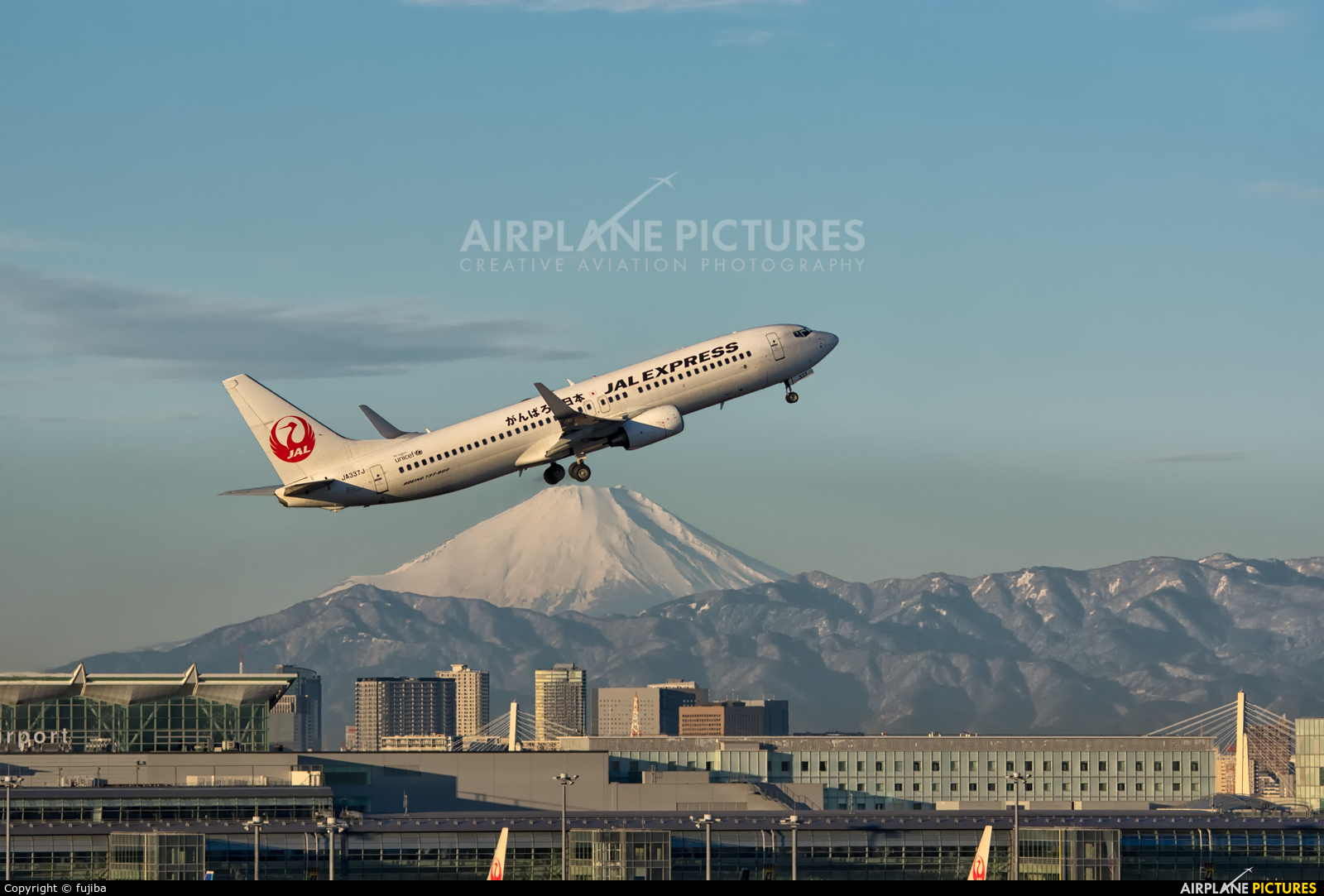 JAL - Express JA337J aircraft at Tokyo - Haneda Intl