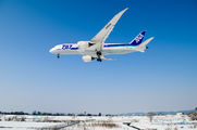 JA821A - ANA - All Nippon Airways Boeing 787-8 Dreamliner aircraft