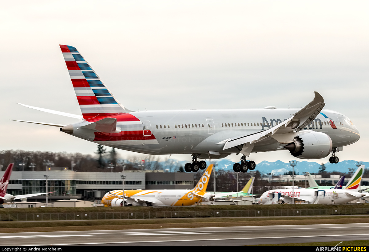 American Airlines N800AN aircraft at Everett - Snohomish County / Paine Field