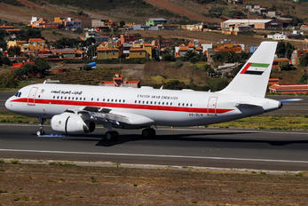 A6-DLM - United Arab Emirates - Government Airbus A320