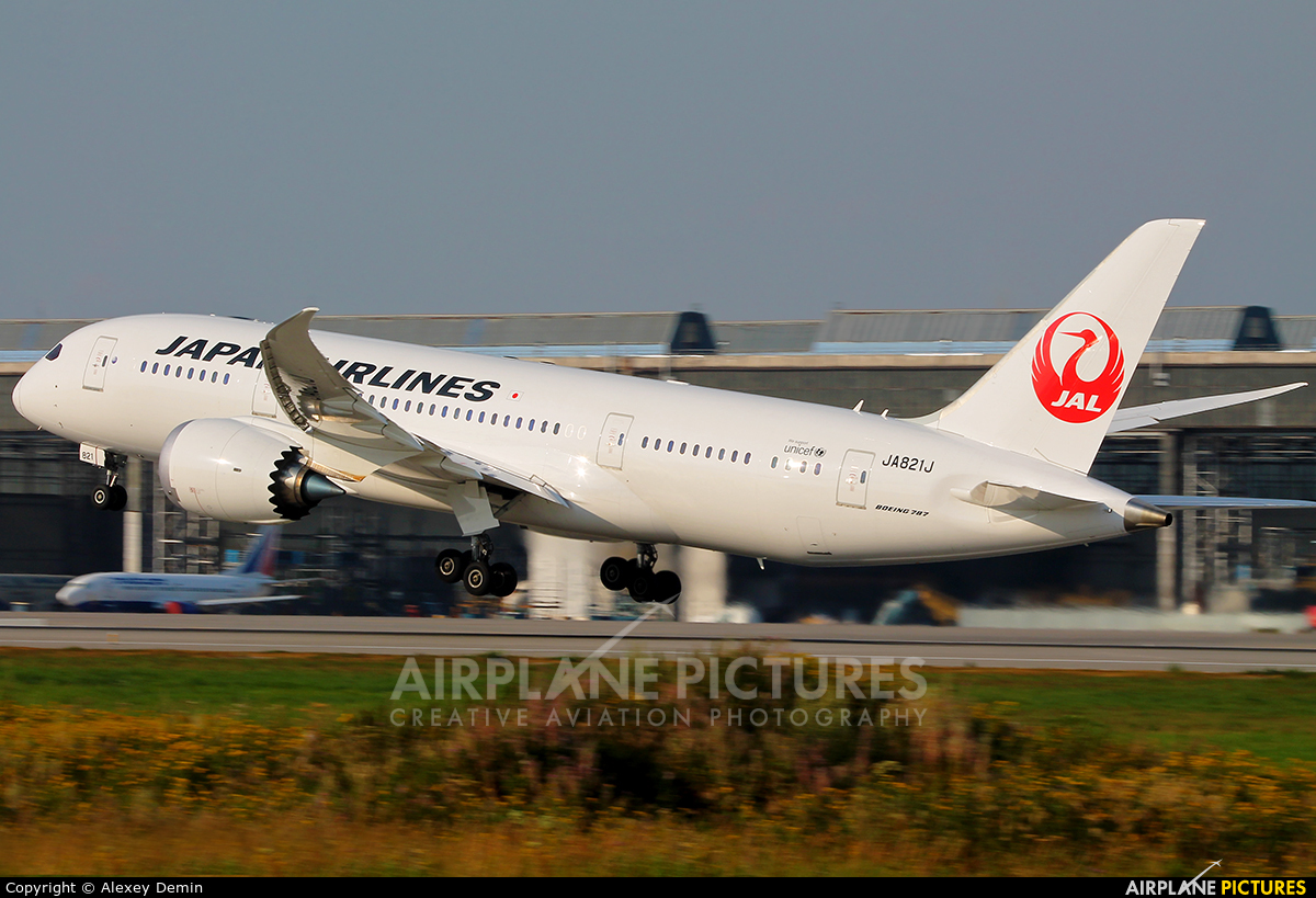 JAL - Japan Airlines JA821J aircraft at Moscow - Domodedovo