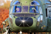 D-663 - Netherlands - Air Force Boeing CH-47D Chinook aircraft