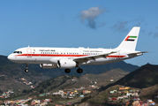 A6-DLM - United Arab Emirates - Government Airbus A320 aircraft