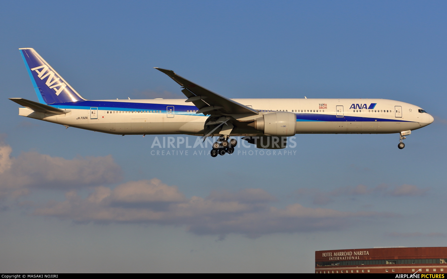 ANA - All Nippon Airways JA732A aircraft at Tokyo - Narita Intl