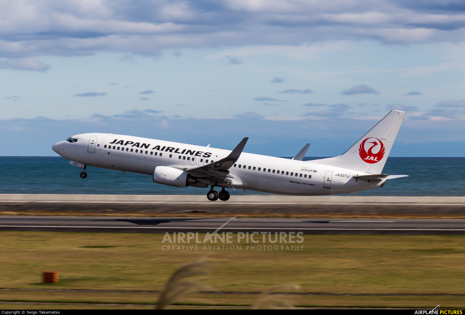 JAL - Japan Airlines JA307J aircraft at Oita