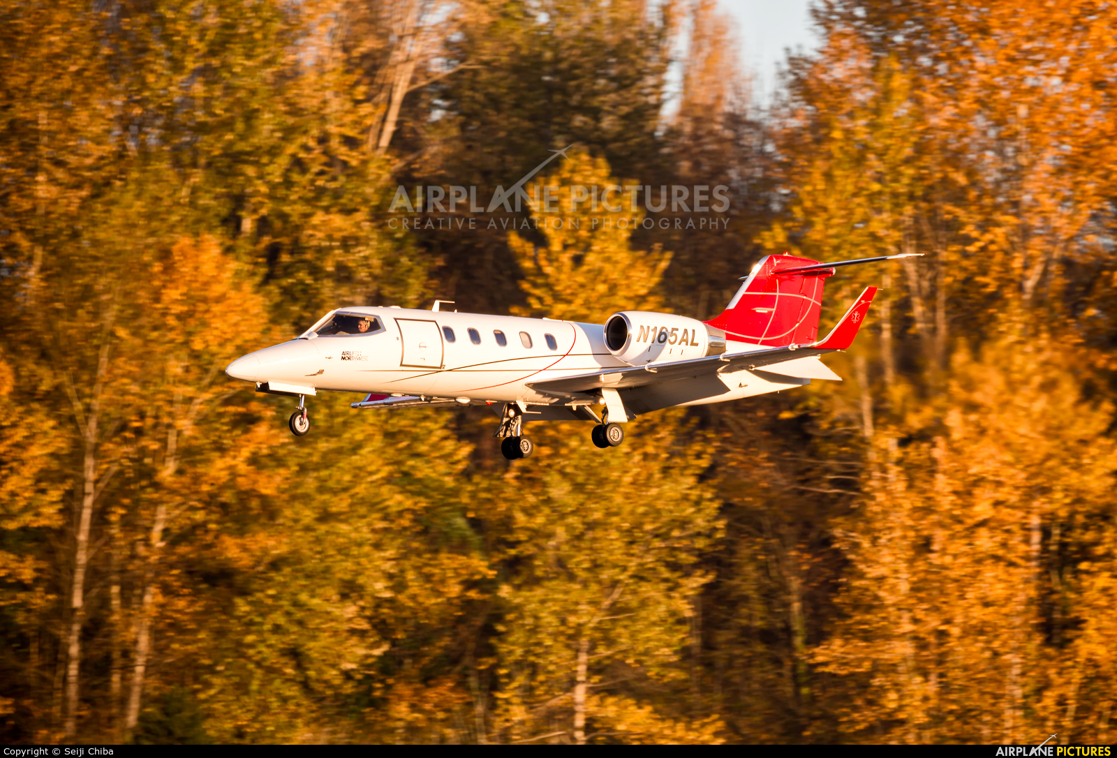 Private N165AL aircraft at Seattle - Boeing Field / King County Intl