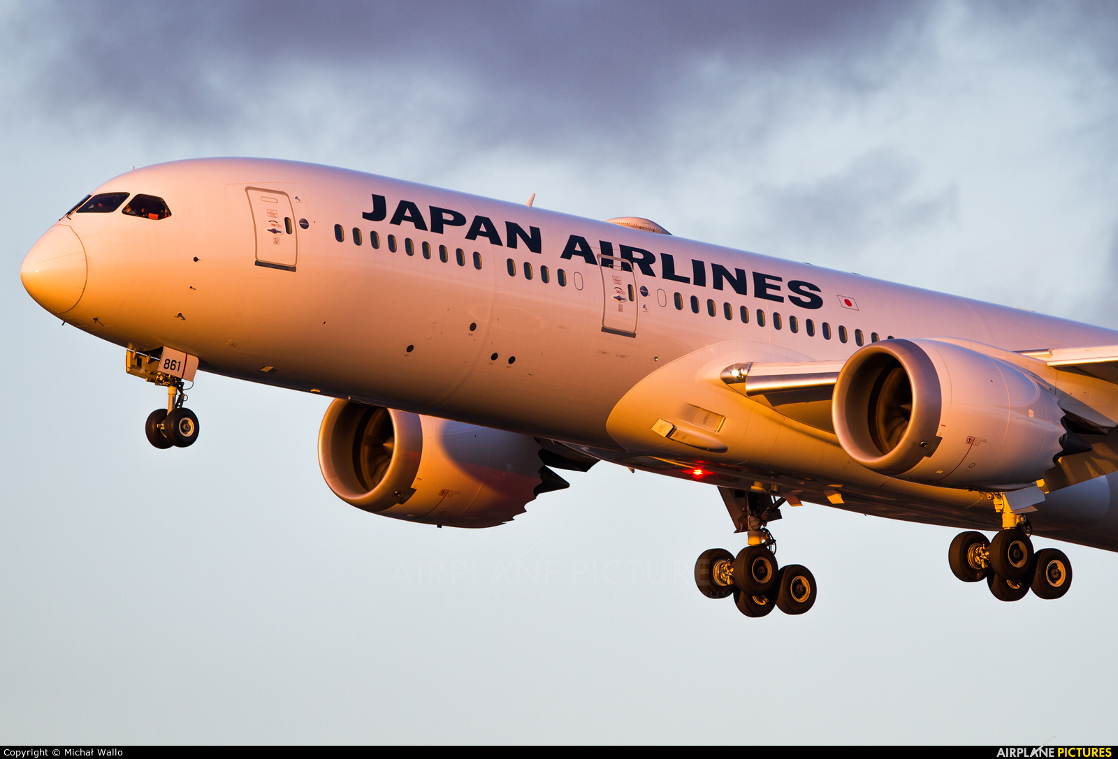 JAL - Japan Airlines JA861J aircraft at Frankfurt