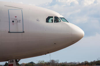 EI-EJJ - Alitalia Airbus A330-200
