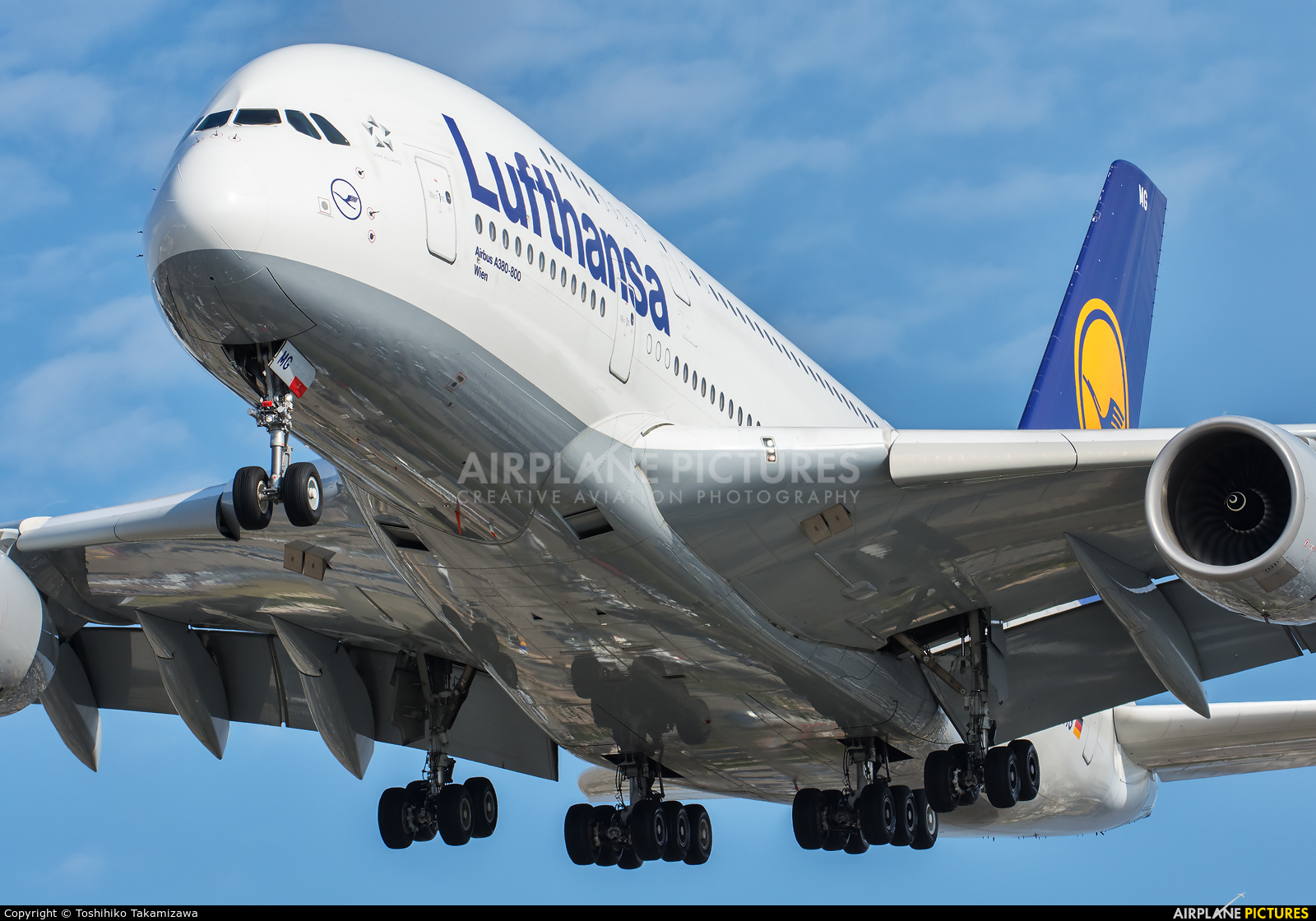 Lufthansa D-AIMG aircraft at Los Angeles Intl