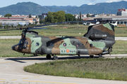 HT.17-04 - Spain - Air Force Boeing CH-47SD Chinook aircraft