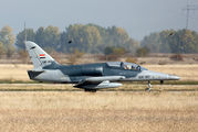 First Aero L-159 on delivery flight for Iraq Air Force title=