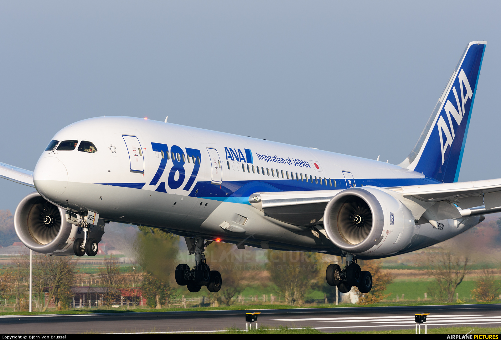 ANA - All Nippon Airways JA822A aircraft at Brussels - Zaventem