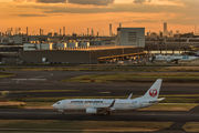 JA348J - JAL - Japan Airlines Boeing 737-800 aircraft