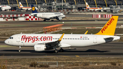 TC-DCA - Pegasus Airbus A320